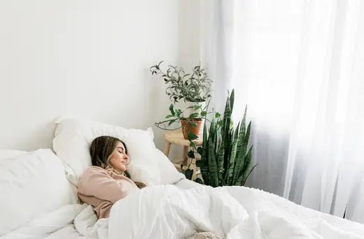 Get Amazing Hair While You Sleep - Hair Holistic