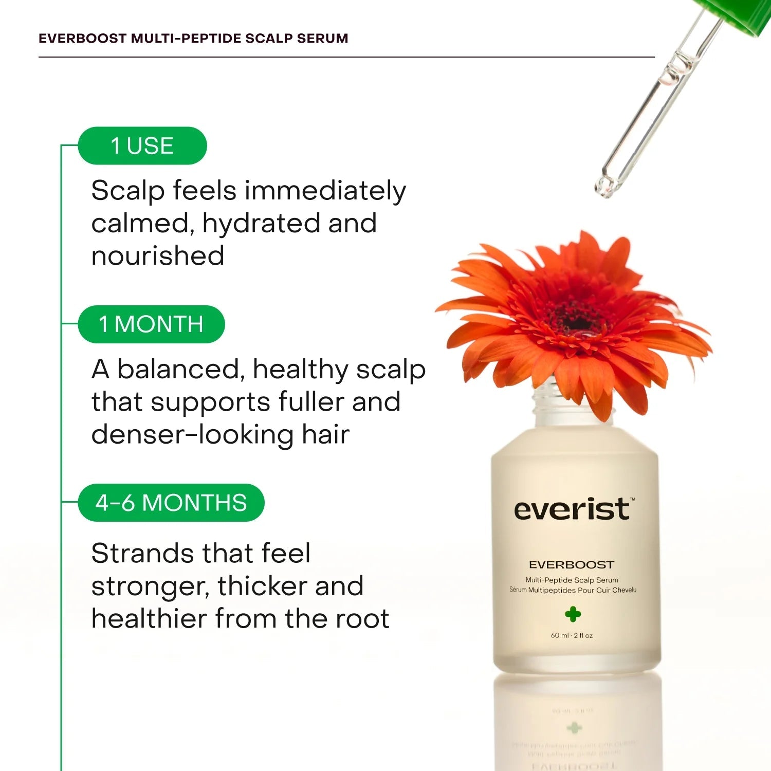 EverBoost Multi-Peptide Scalp Serum - Hair Care - Everist