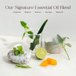 The Exfoliating Body Wash Concentrate - Hair Care Wellness